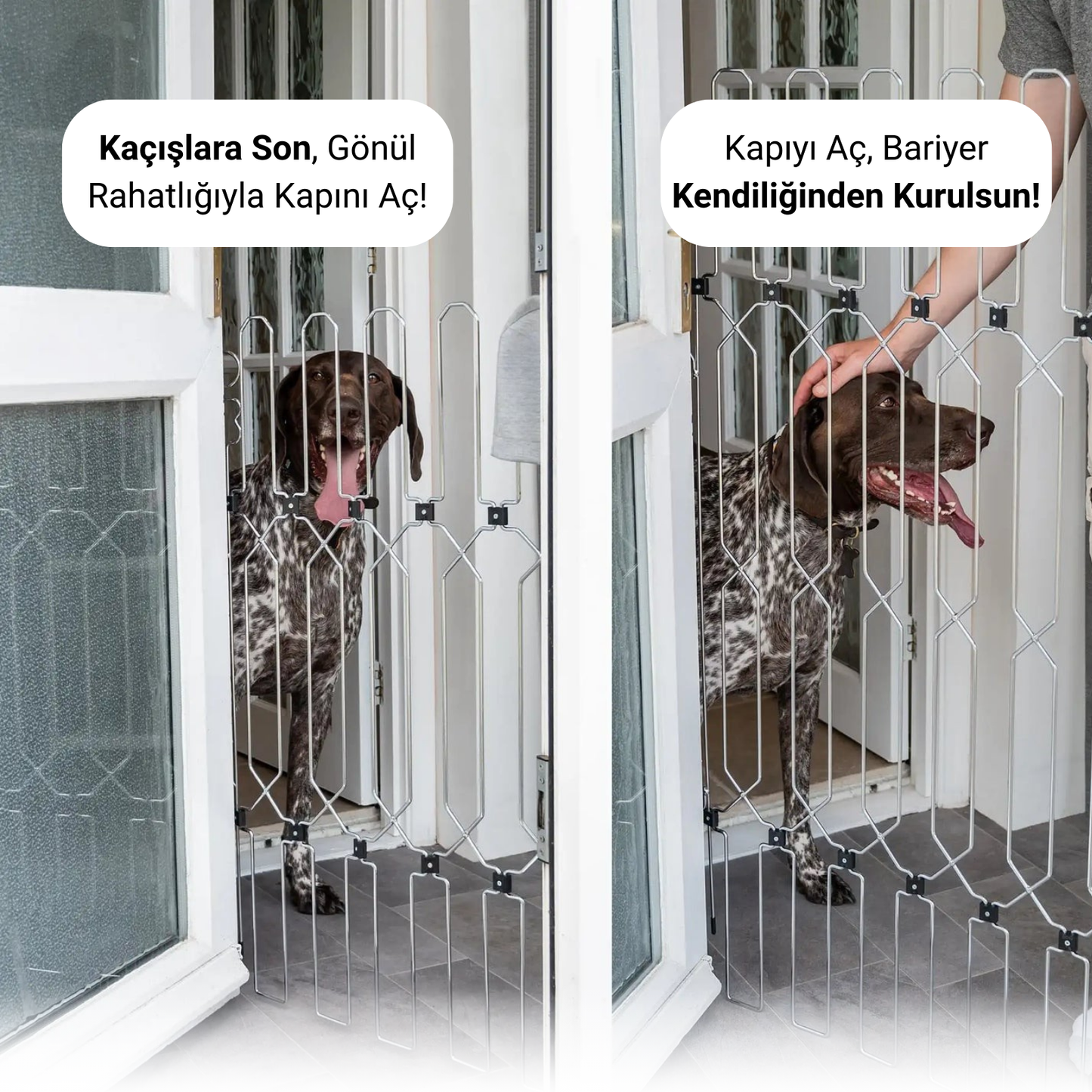 Modüler Köpek Bariyeri
