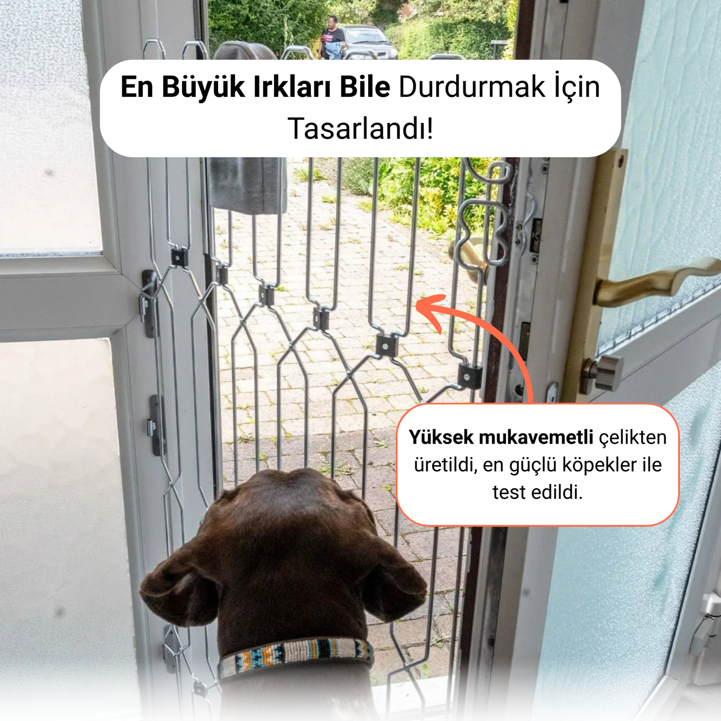 Modüler Köpek Bariyeri